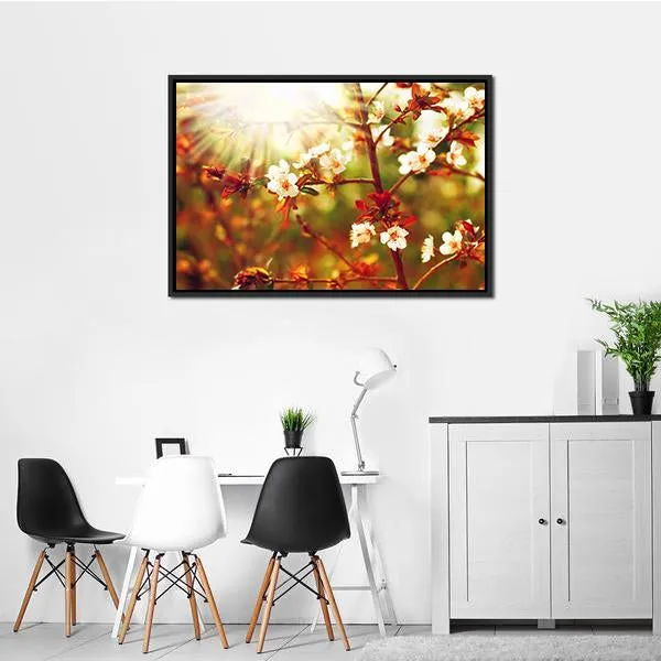 Almond Tree Blossom In Spring Canvas Wall Art