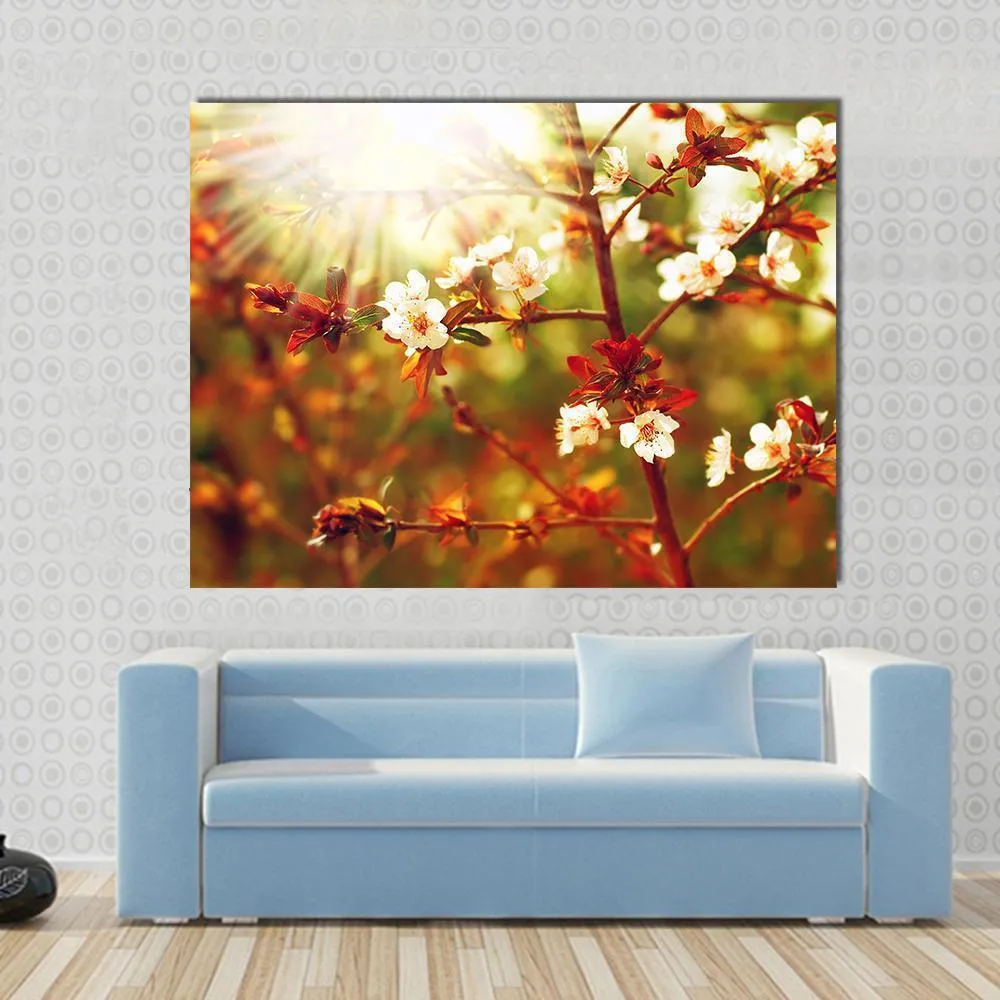 Almond Tree Blossom In Spring Canvas Wall Art