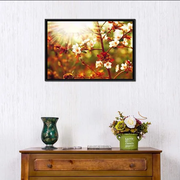 Almond Tree Blossom In Spring Canvas Wall Art