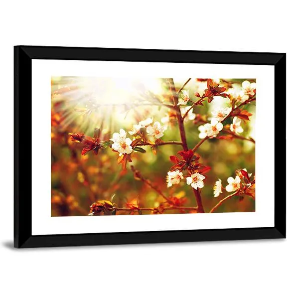 Almond Tree Blossom In Spring Canvas Wall Art