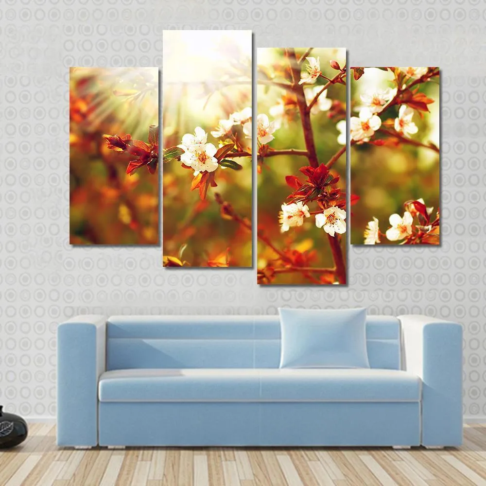 Almond Tree Blossom In Spring Canvas Wall Art