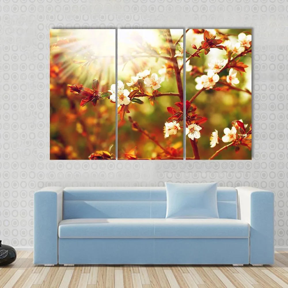 Almond Tree Blossom In Spring Canvas Wall Art