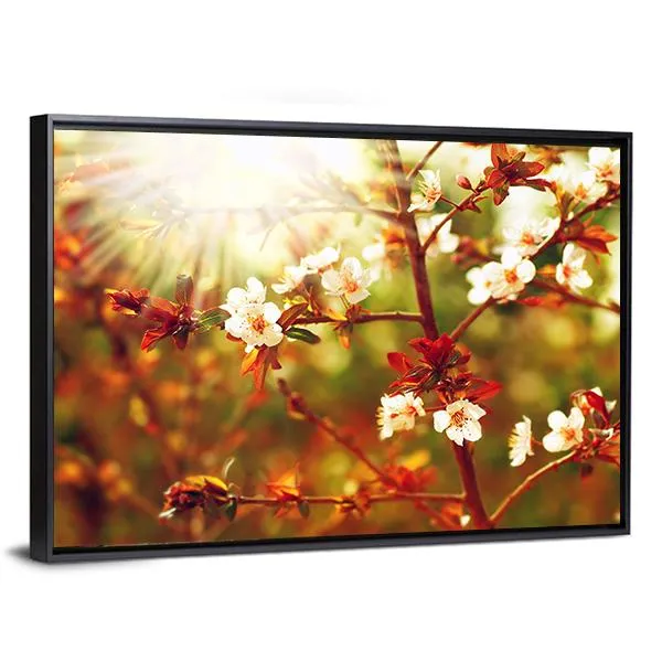 Almond Tree Blossom In Spring Canvas Wall Art