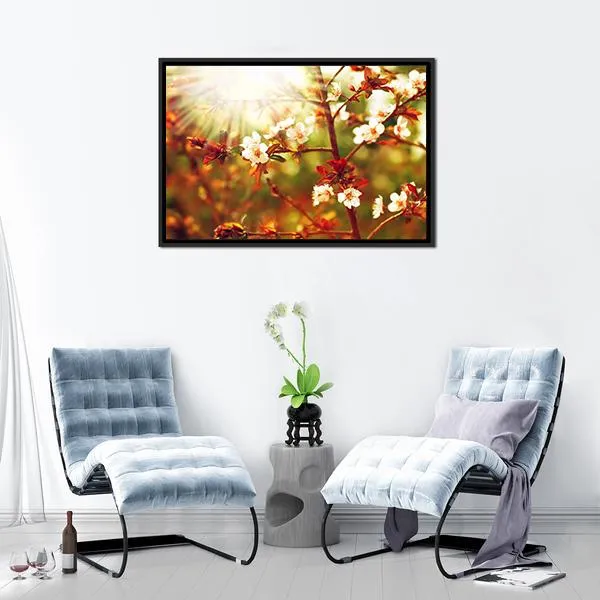 Almond Tree Blossom In Spring Canvas Wall Art