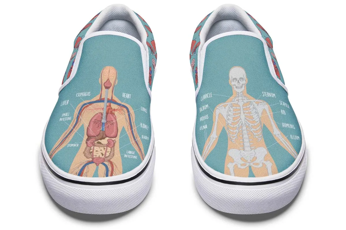 Anatomy Slip-On Shoes