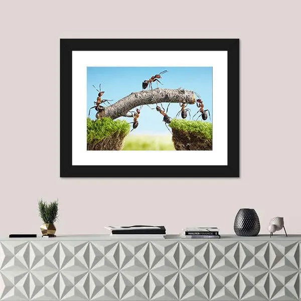 Ants Constructing Bridge Canvas Wall Art