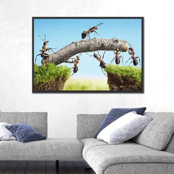 Ants Constructing Bridge Canvas Wall Art