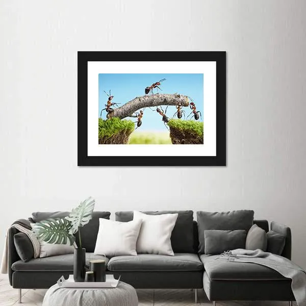 Ants Constructing Bridge Canvas Wall Art