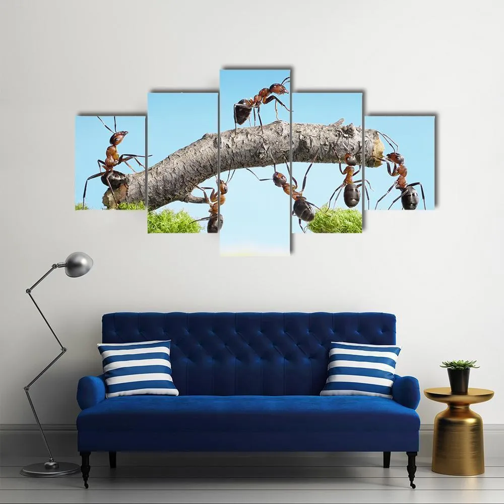 Ants Constructing Bridge Canvas Wall Art