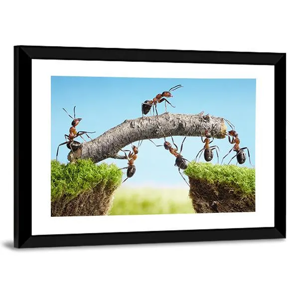 Ants Constructing Bridge Canvas Wall Art