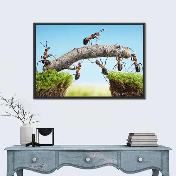 Ants Constructing Bridge Canvas Wall Art