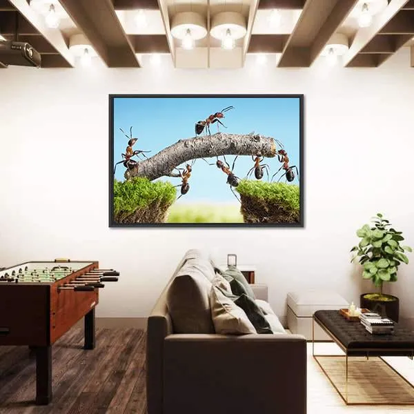 Ants Constructing Bridge Canvas Wall Art