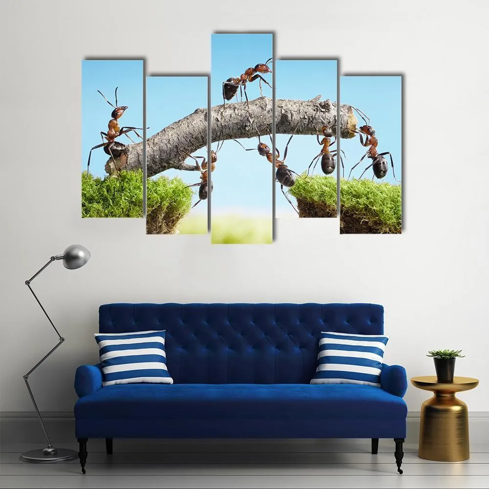 Ants Constructing Bridge Canvas Wall Art