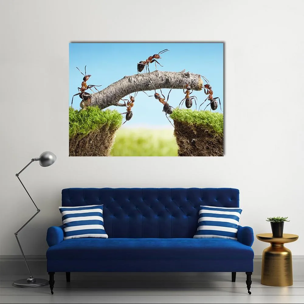 Ants Constructing Bridge Canvas Wall Art