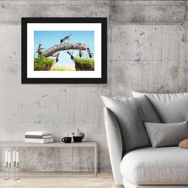 Ants Constructing Bridge Canvas Wall Art