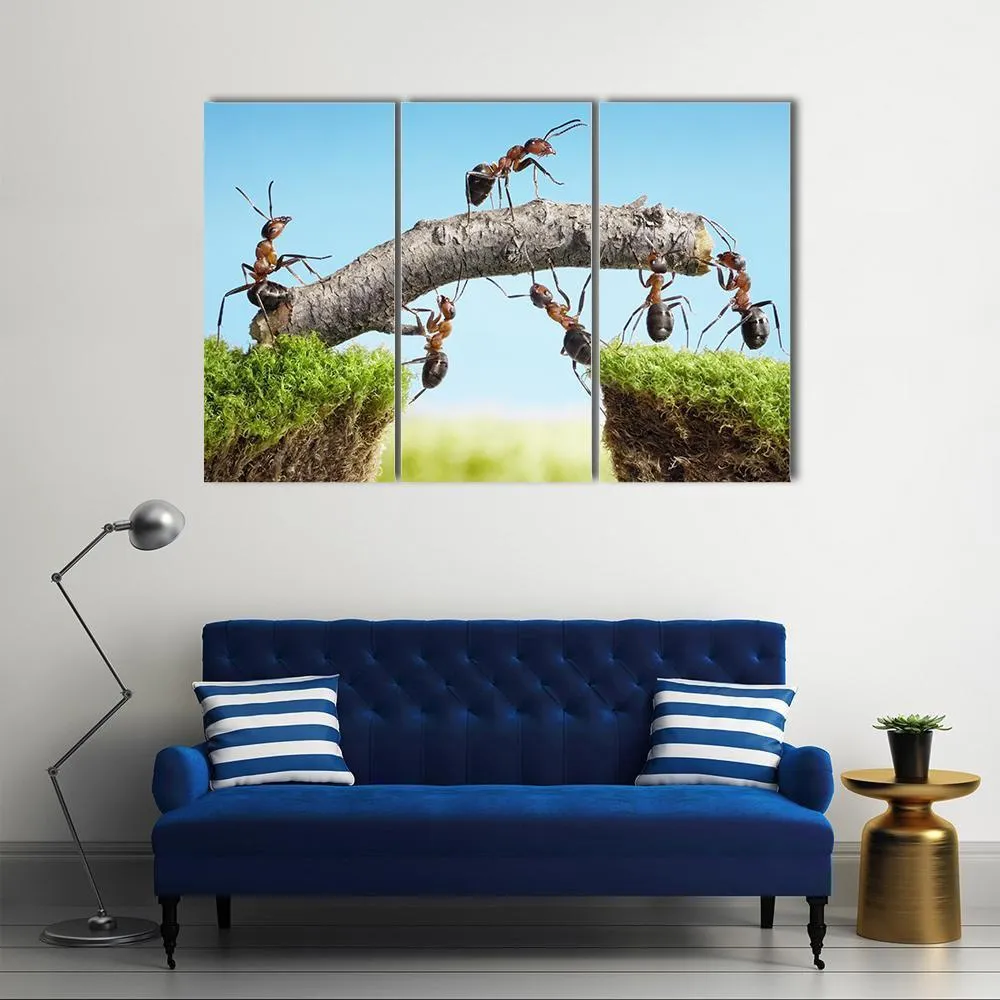 Ants Constructing Bridge Canvas Wall Art