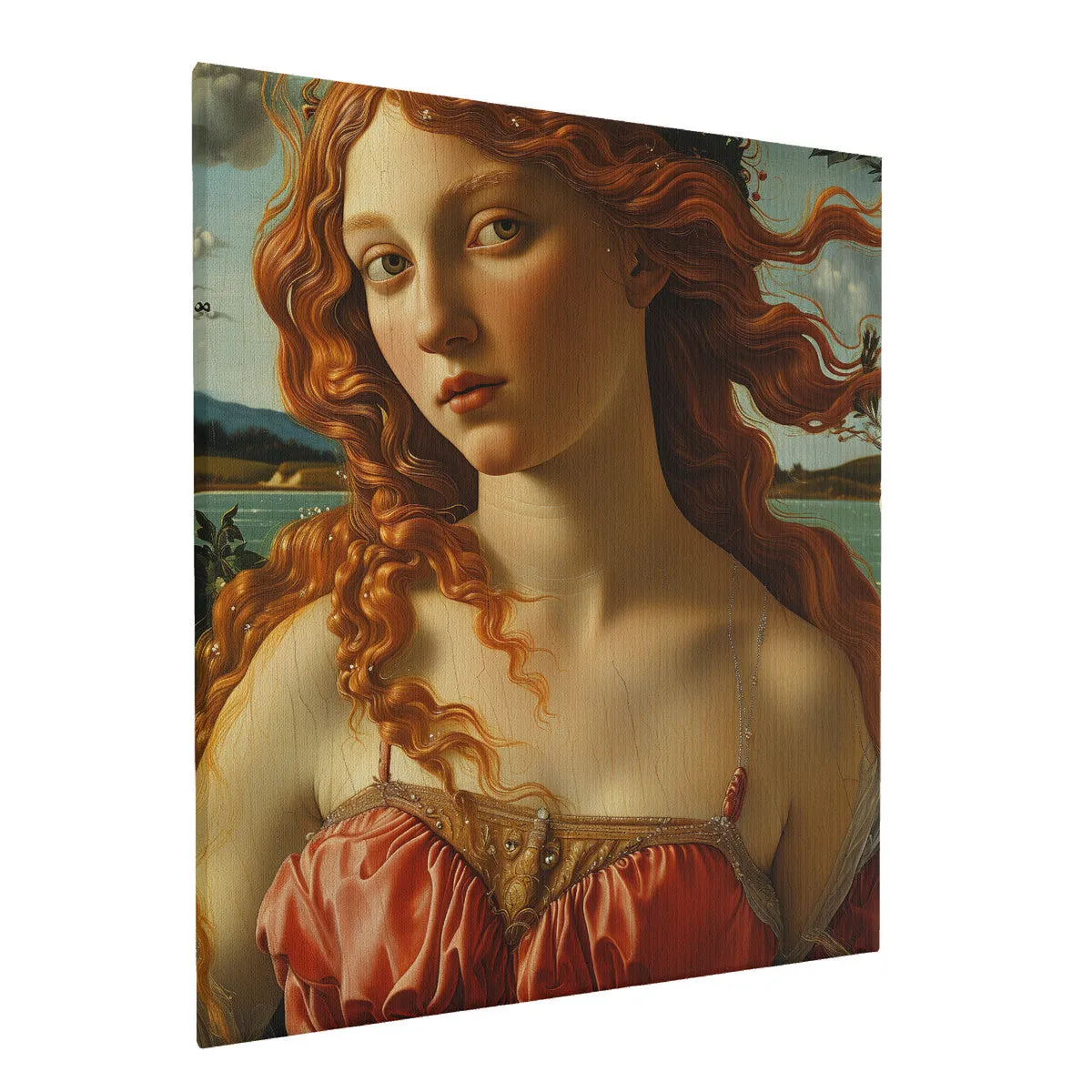 Birth of Venus Print on Canvas with Mounting Brackets 20x24in (vertical)