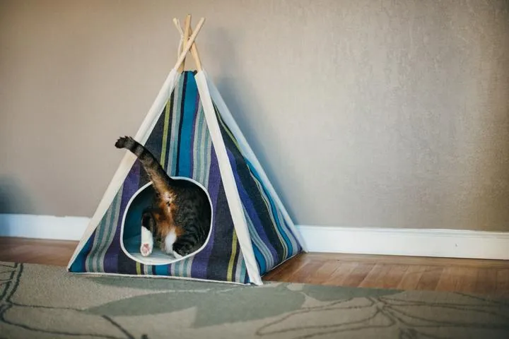 Horizon Pet Teepee