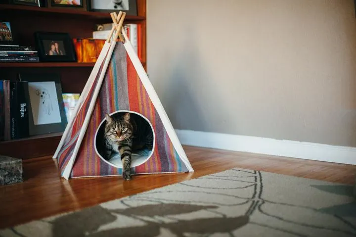 Horizon Pet Teepee