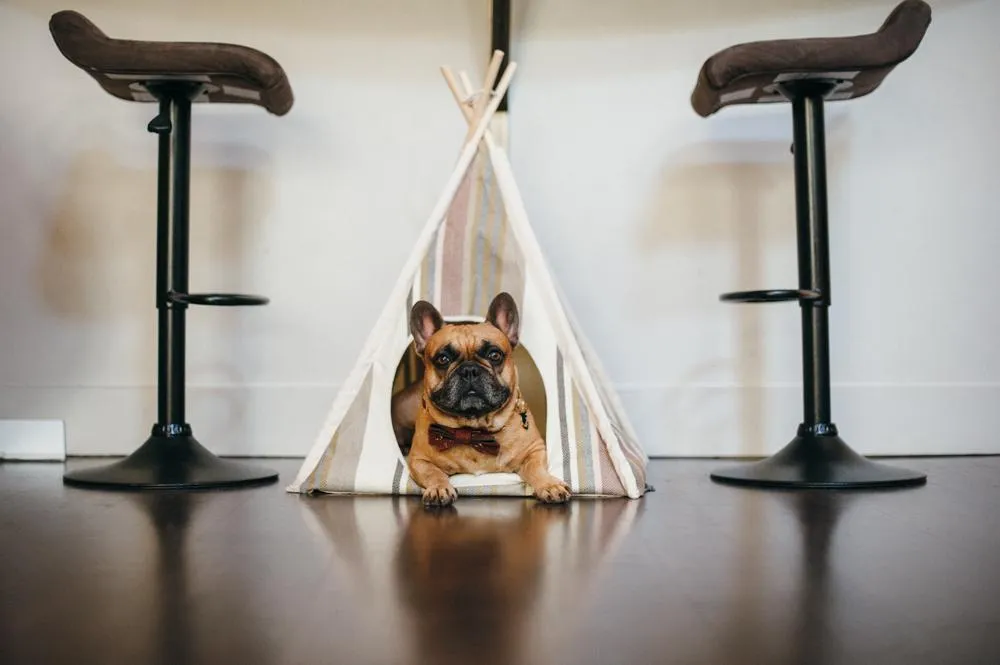 Horizon Pet Teepee