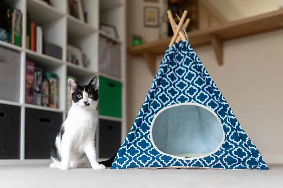 Pet Teepee Classic