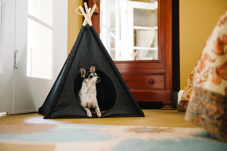 Pet Teepee Classic